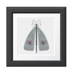 (image for) Flower Moth